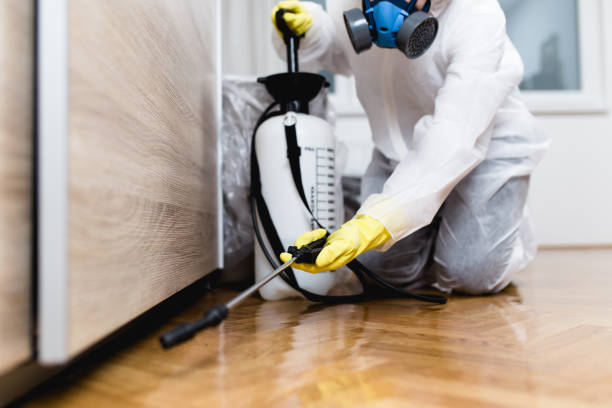 Professional Pest Control in Tangerine, FL