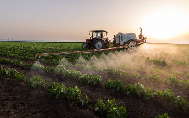 Best Commercial Pest Control Services  in Tangerine, FL