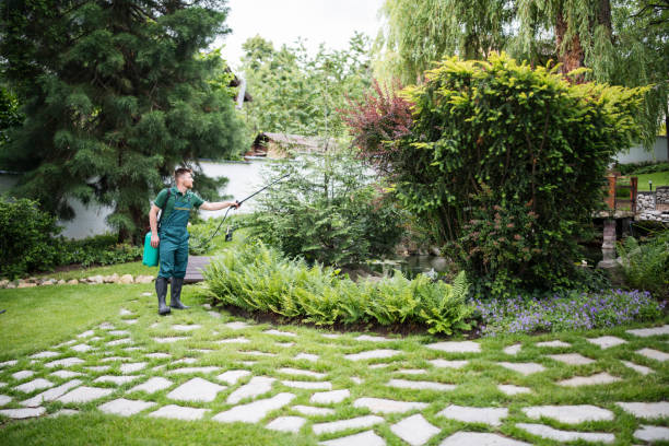 Best Insect Control  in Tangerine, FL