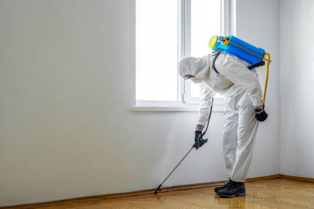 Best Exterminator Services  in Tangerine, FL