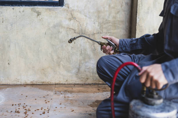 Best Wasp Removal Services  in Tangerine, FL