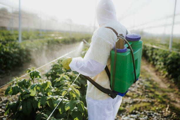 Best Best Pest Control Companies  in Tangerine, FL